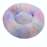 Colorido